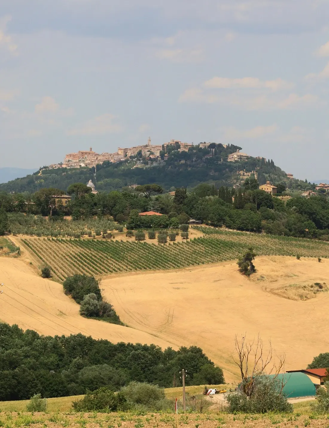 Montepulciano/Unsplash