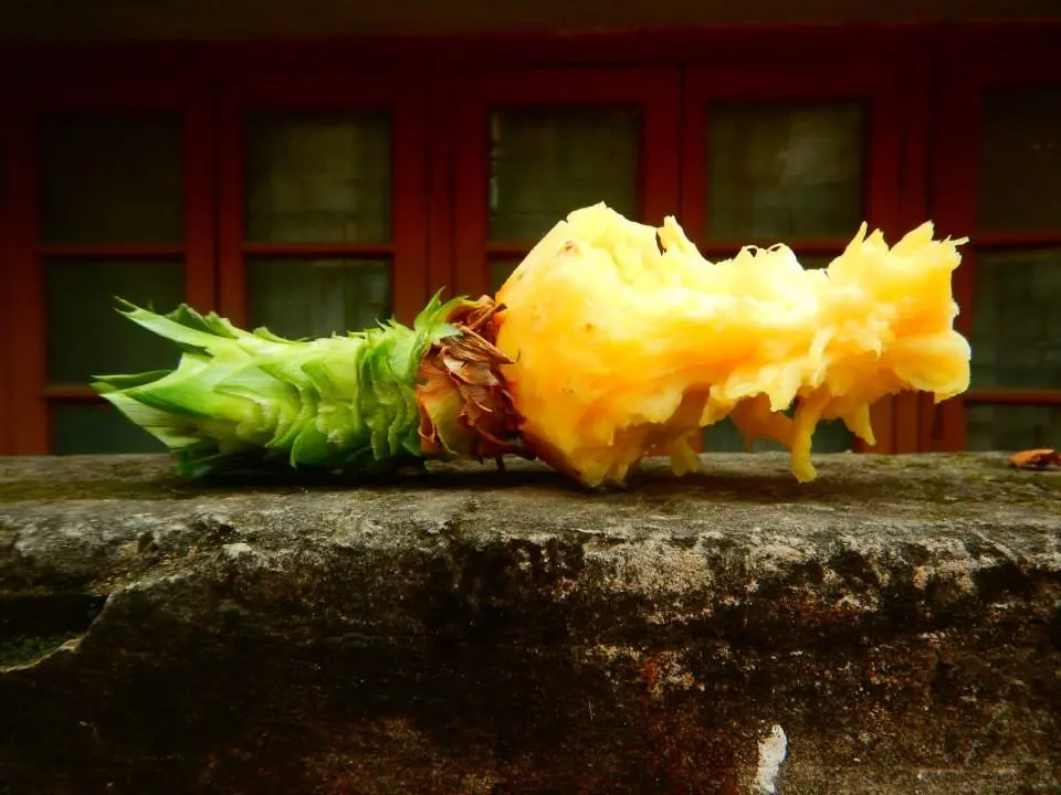 Bangladesh/Photo: M. Bobić