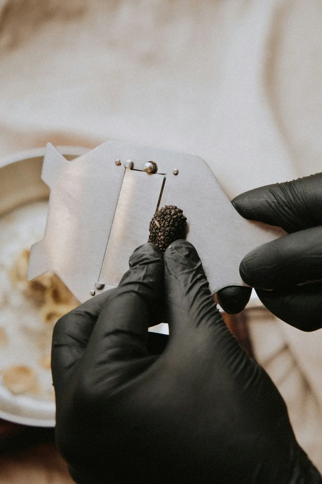 Truffles/Unsplash.com