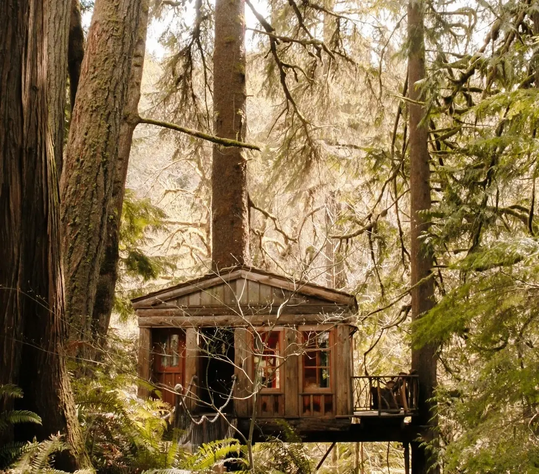 Treehouse/Unsplash.com