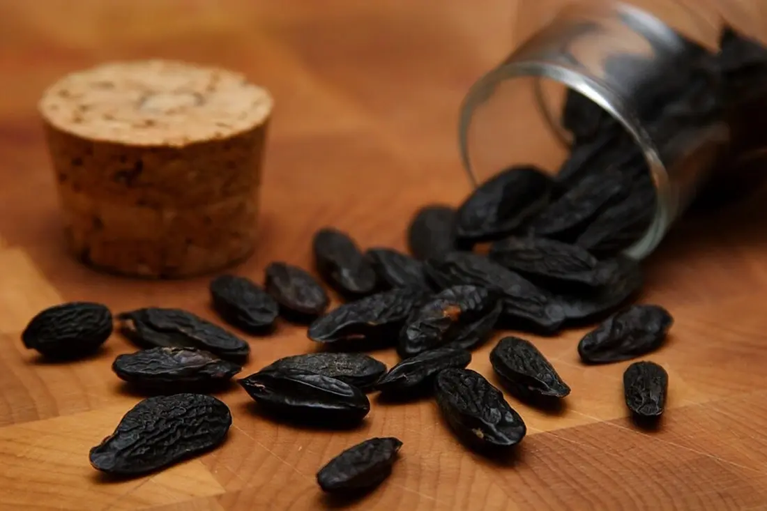 Tonka bean/Wikimedia
