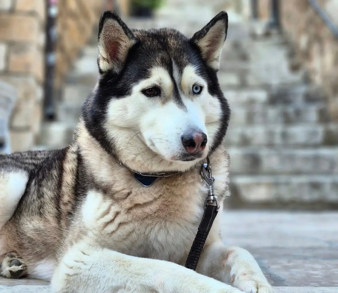 Instagram/Dubrovnik tourist guide