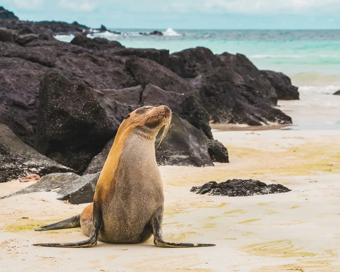 Galápagos/Unsplash.com