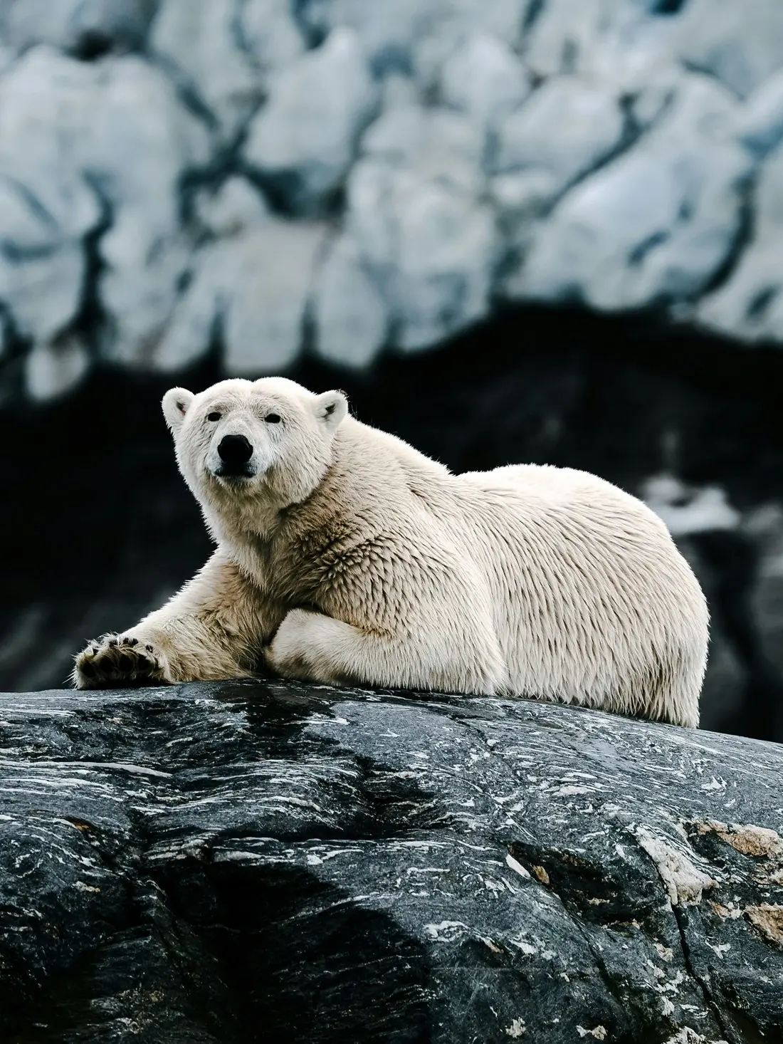 Svalbard/Unsplash.com