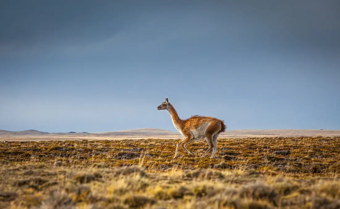 Patagonia/Unsplash.com