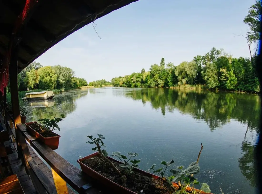 Danube Čardas