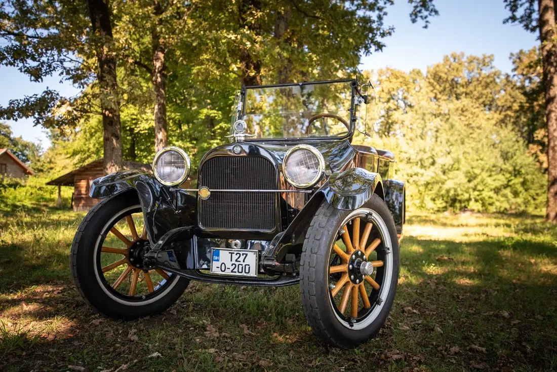Dodge 1921/HEDONIST