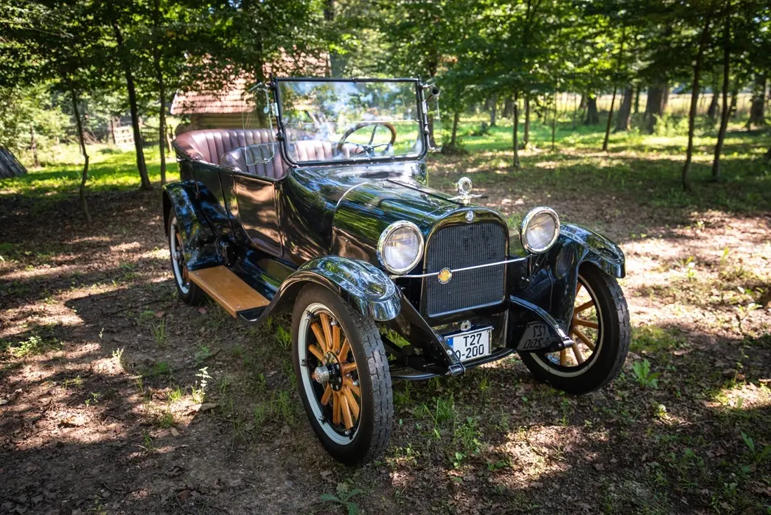 Dodge 1921/HEDONIST