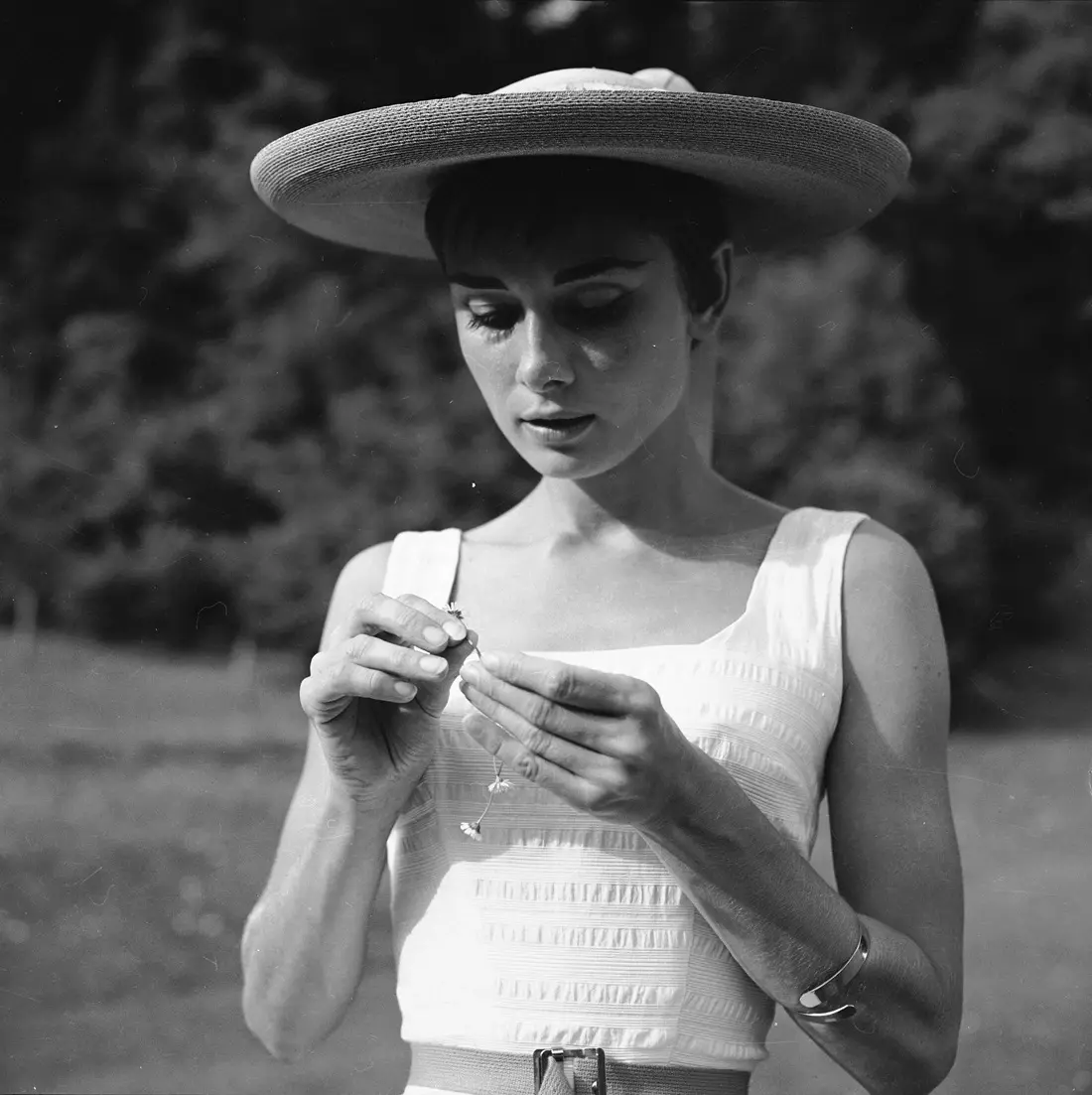 Audrey Hepburn/Wikimedia Commons