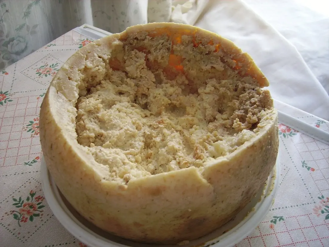 Casu marzu/Wikimedia Commons