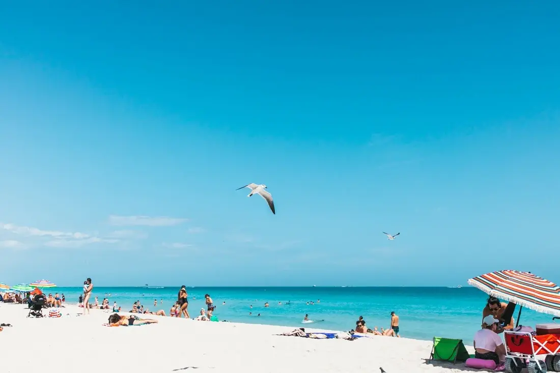 Miami/Pexels.com
