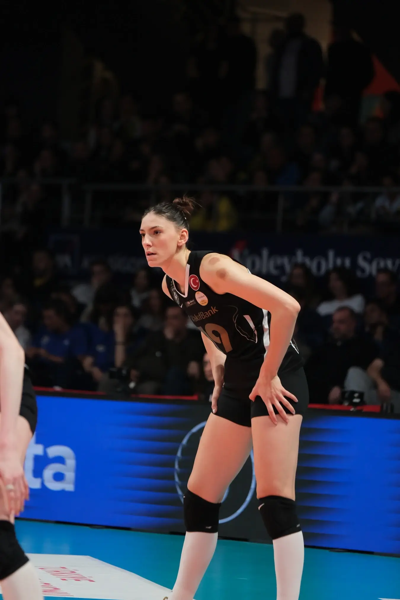 Tijana Bošković/Wikimedia Commons