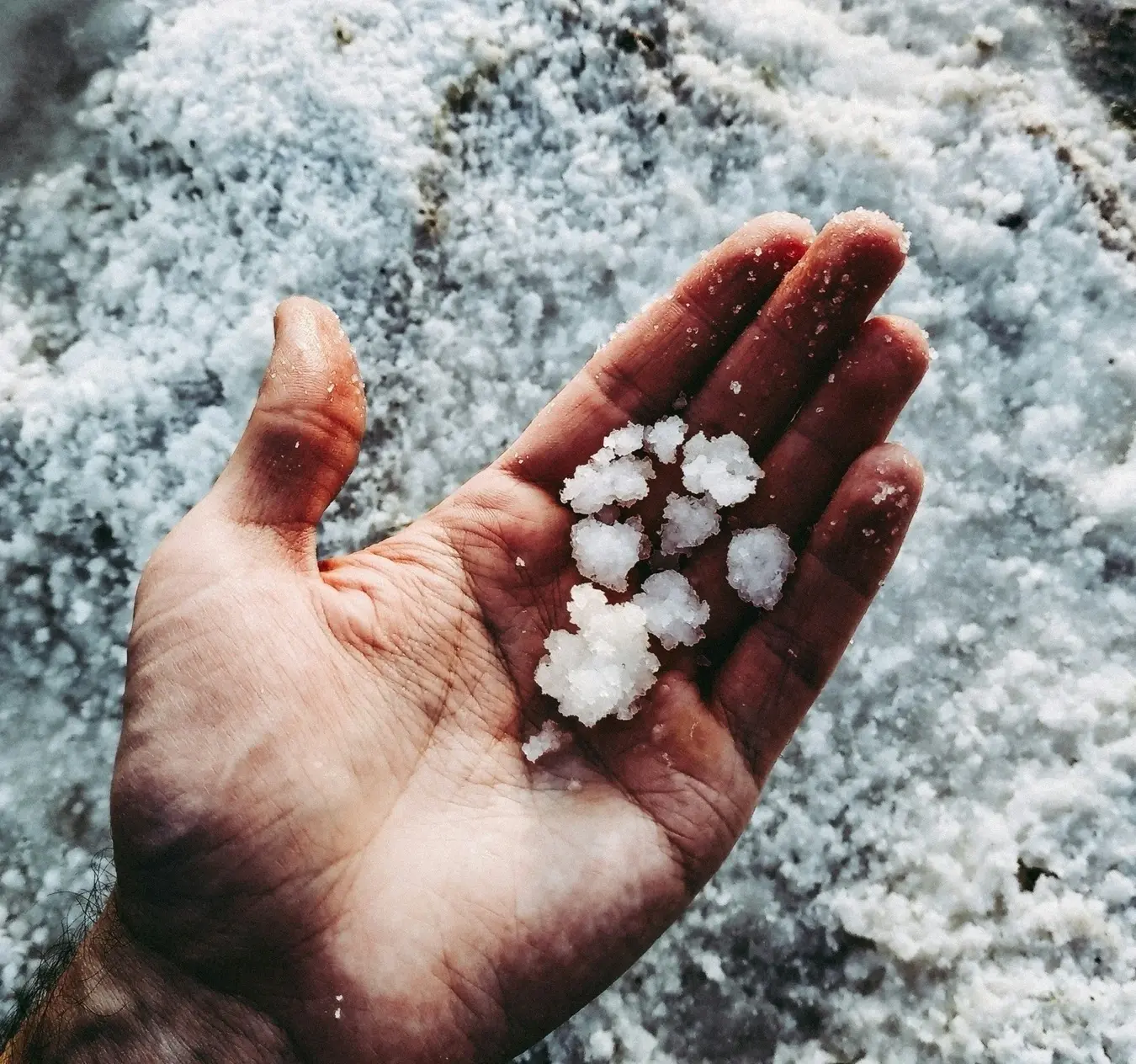 Salt/Unsplash.com