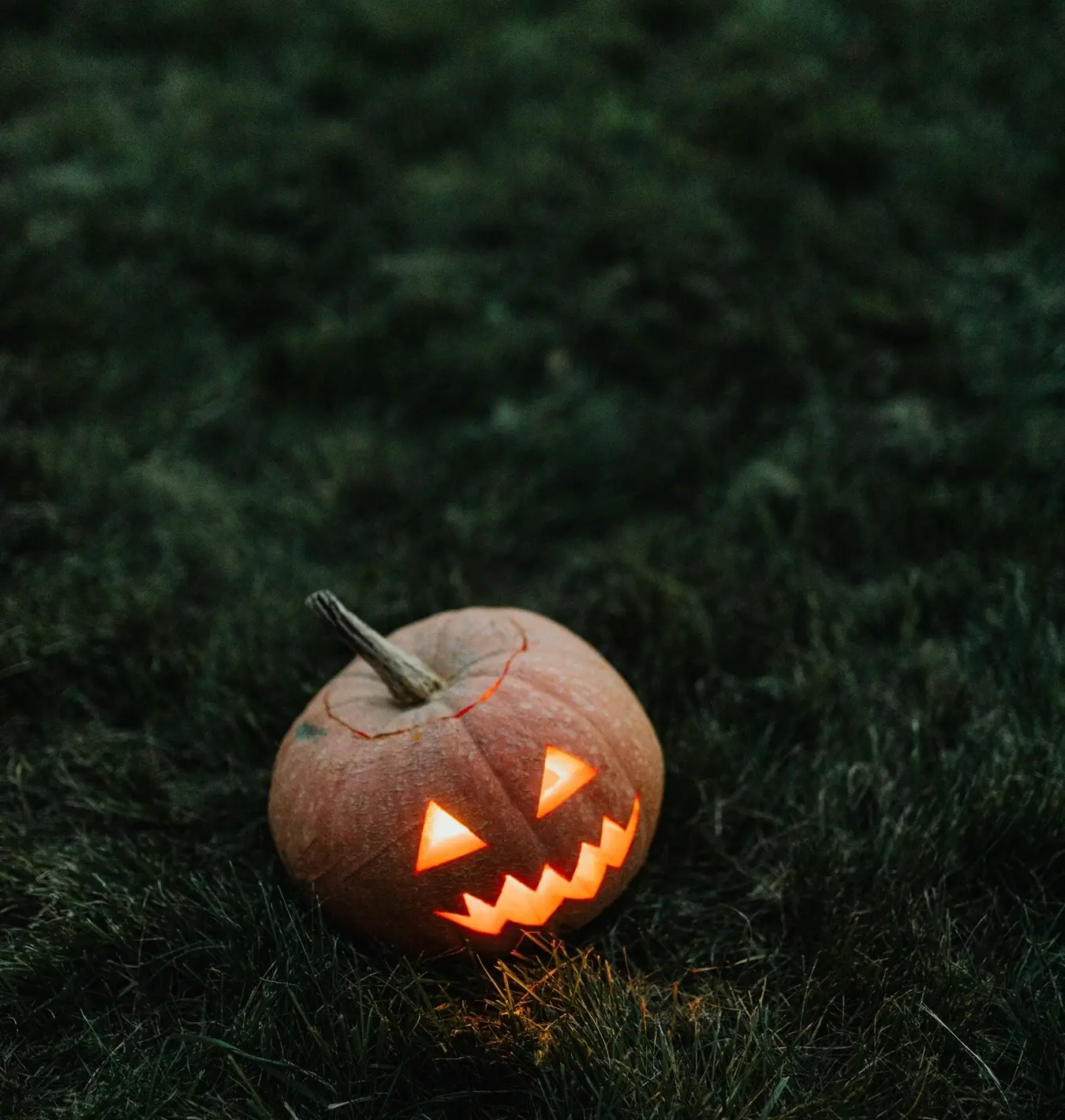 Halloween Pumpkin/Pexels.com